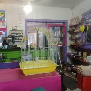 Bird Cage