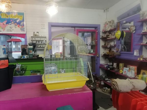 Bird Cage